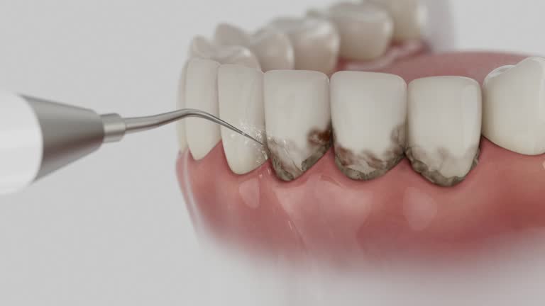 Reliable Dental contractor in Bridgewater, VA by Dentist Open Now